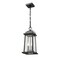Z-Lite Millworks 2 Light Outdoor Chain Mount Ceiling Fixture, Black & Clear Beveled 574CHM-BK - alternate 4